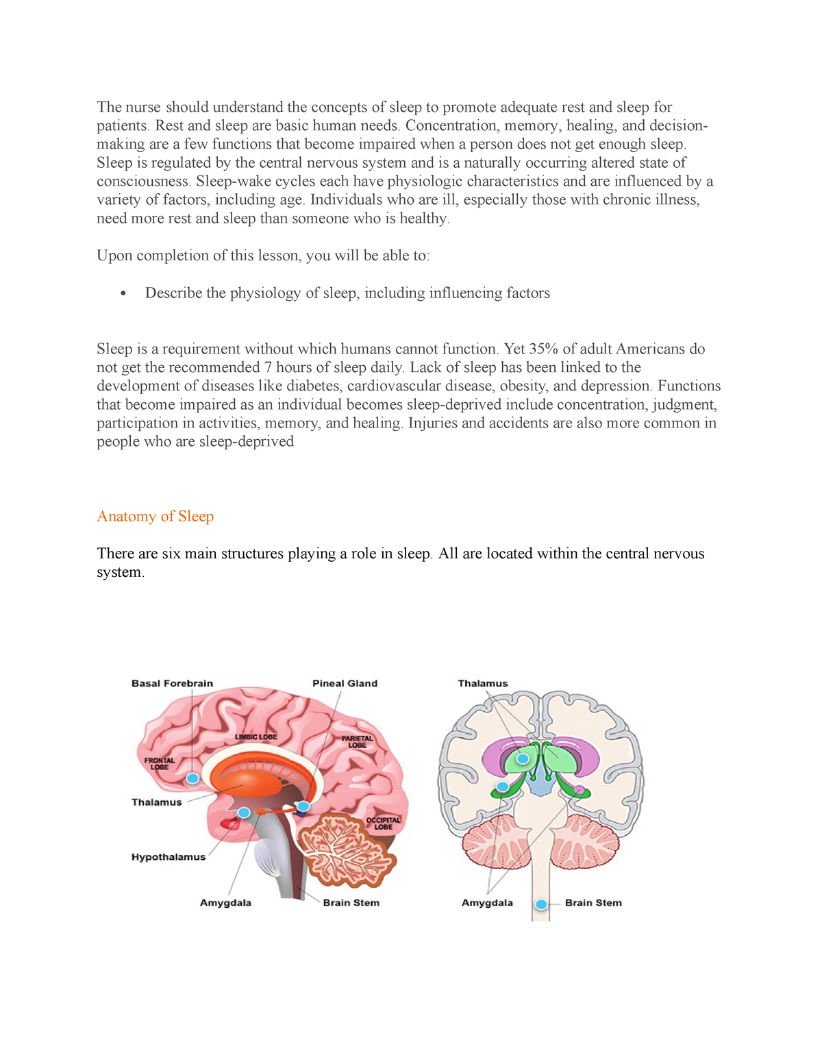 Sherpath Sleep - The Nurse Should Understand The Concepts Of Sleep To ...