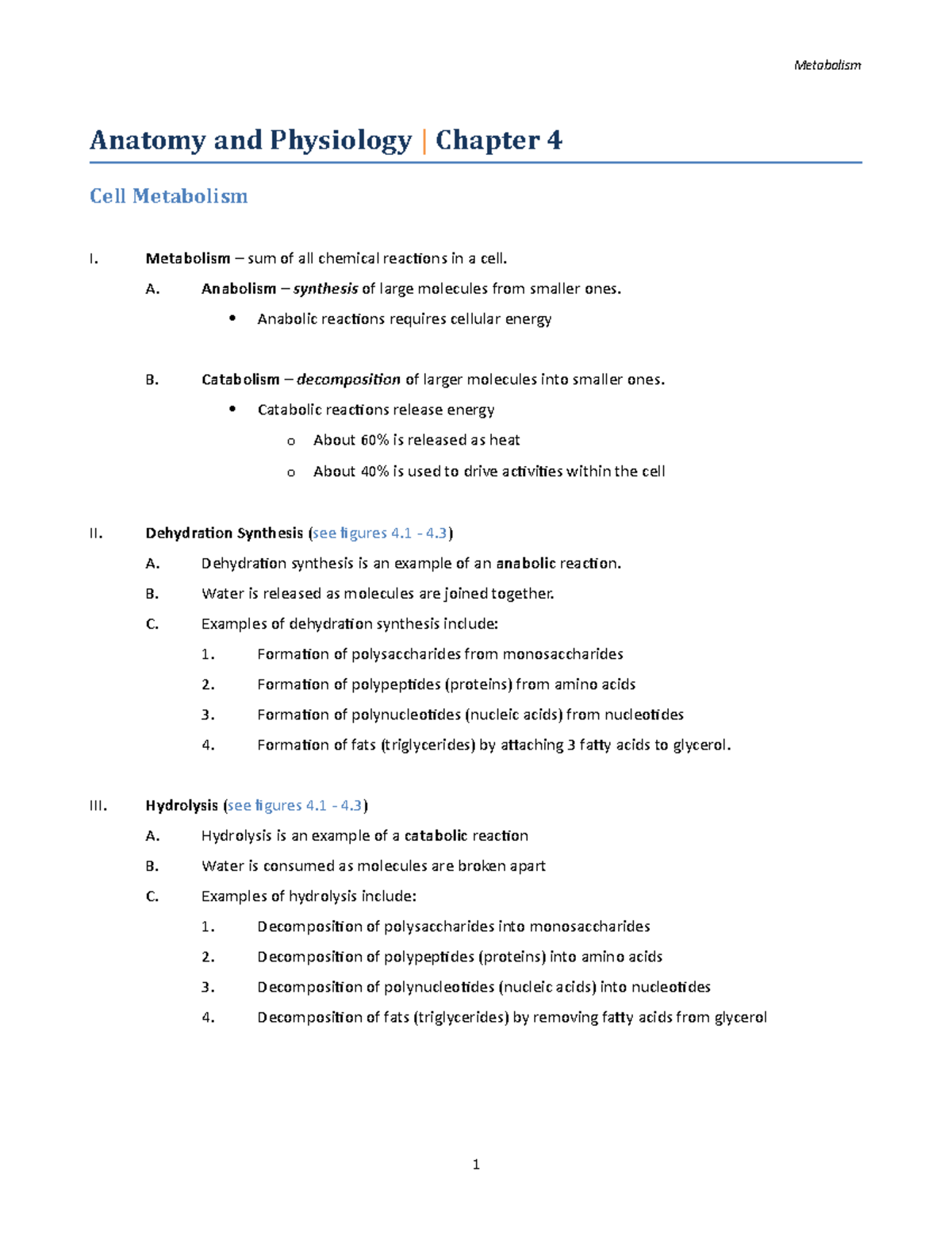 Study Guide Ch 4 - Anatomy And Physiology | Chapter 4 Cell Metabolism I ...