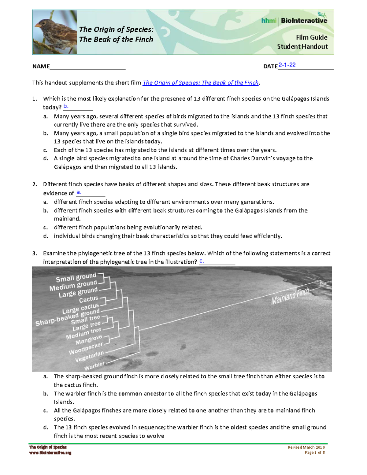 Lab Beak Of The Finch Worksheet 1 The Origin Of Species Revised 