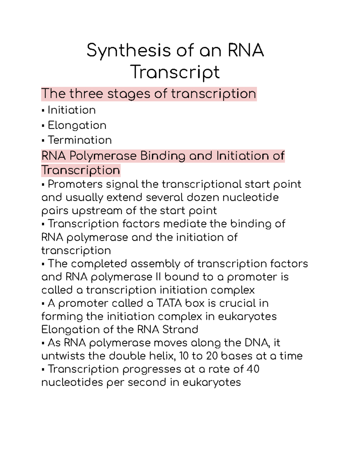 Synthesis of an RNA Transcript - Synthesis of an RNA Transcript The ...
