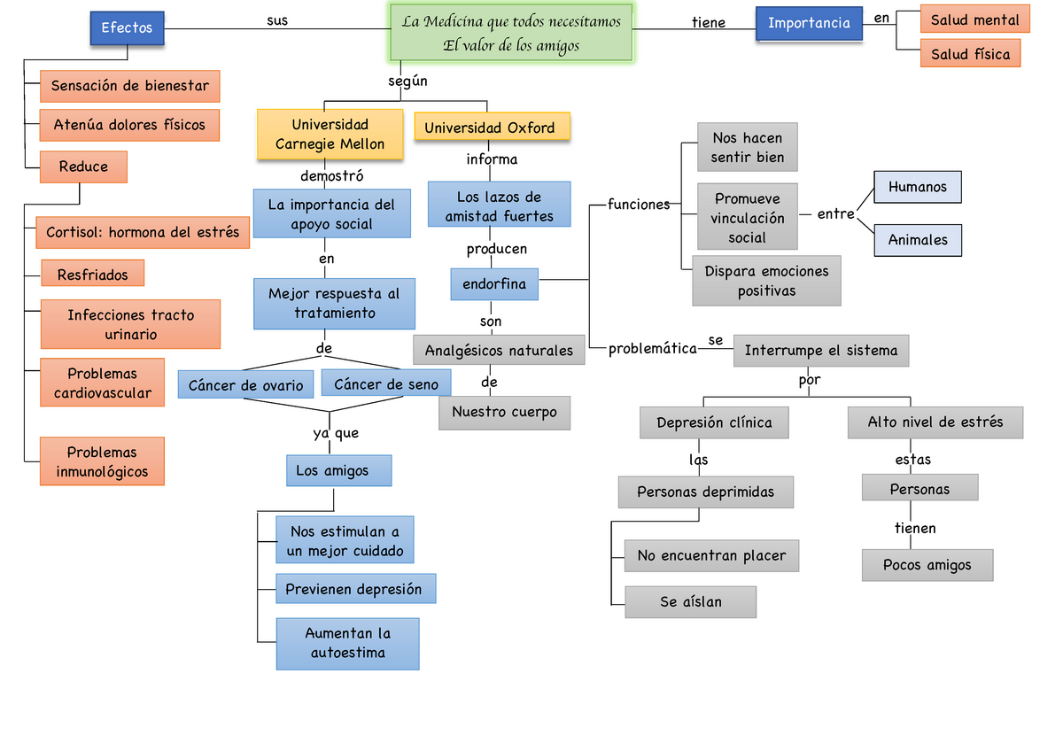 Mapa conceptual sobre el valor de los amigos - La Medicina que todos  necesitamos El valor de los - Studocu