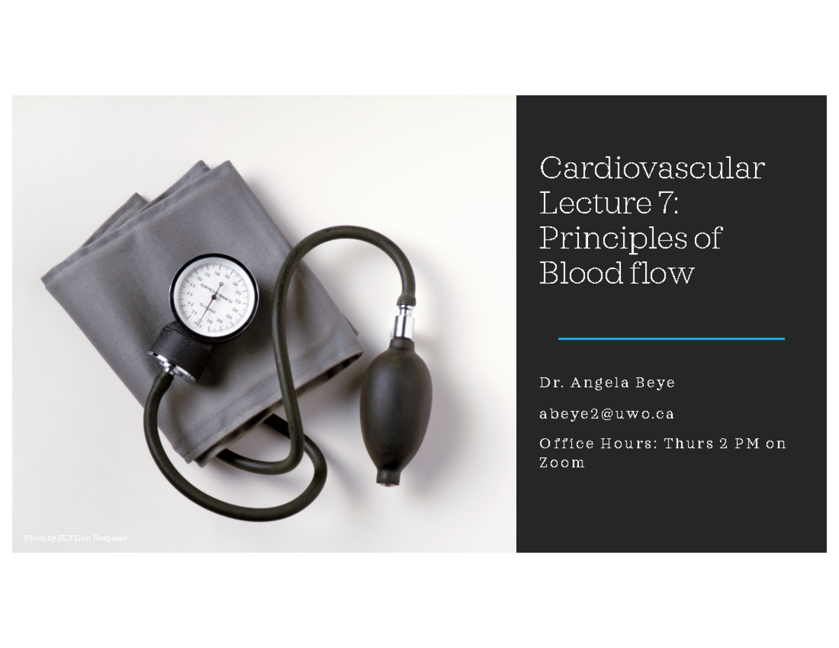 Cardiovascular+Physiology+3120+2022+lecture+7+OWL - Cardiovascular ...