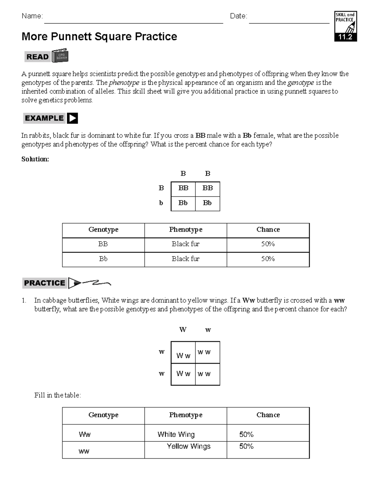Punnet Square Practice 2021 2022 School Year Name Date More