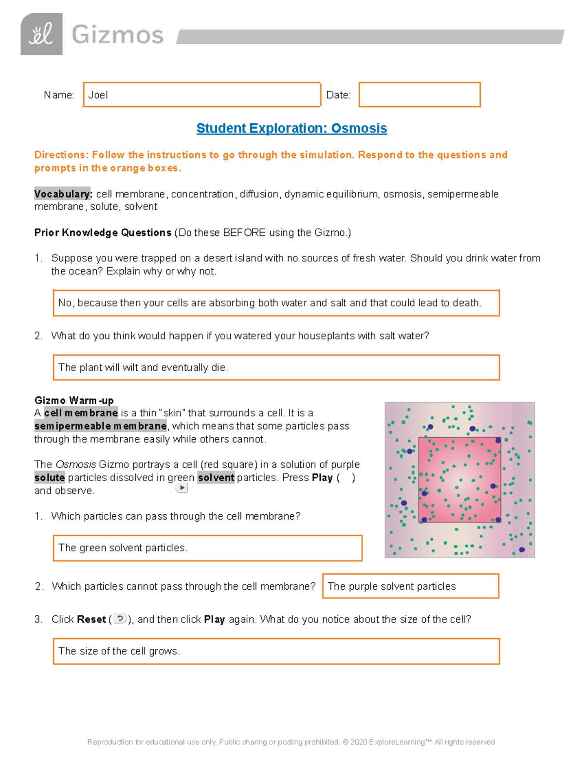 gizmos Osmosis SE Google docs handout Name Joel Date Student