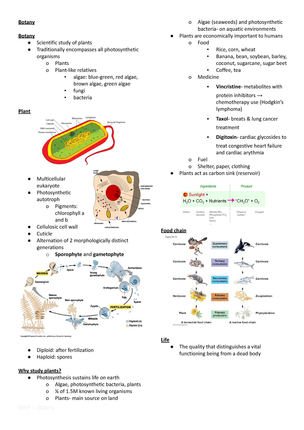 Plant Tissue and Plant Development - Botany Botany Scientific study of ...