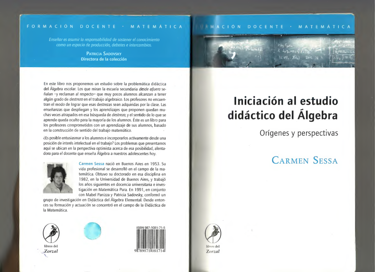 Iniciacion al estudio didactico del algebra Carmen Sessa pdf - campo de