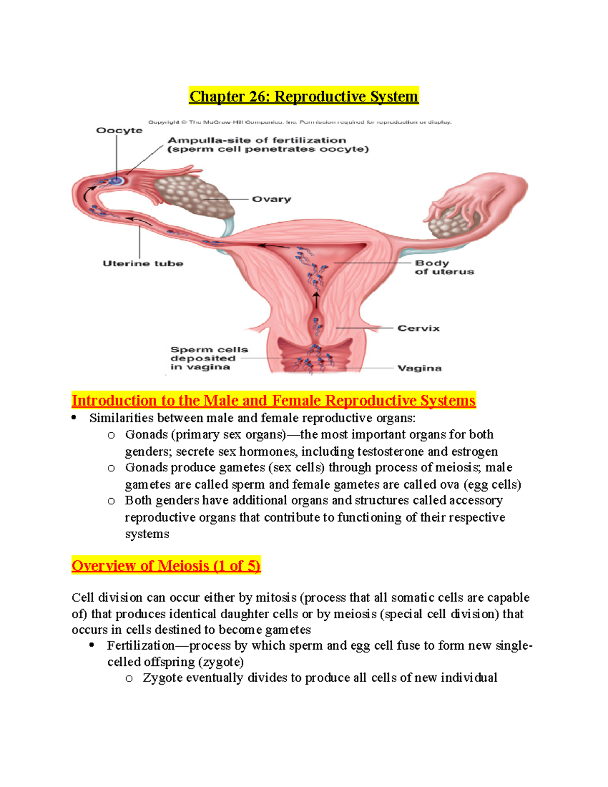 Chapter 26 49 - mr. aguilar class - Chapter 26: Reproductive System ...