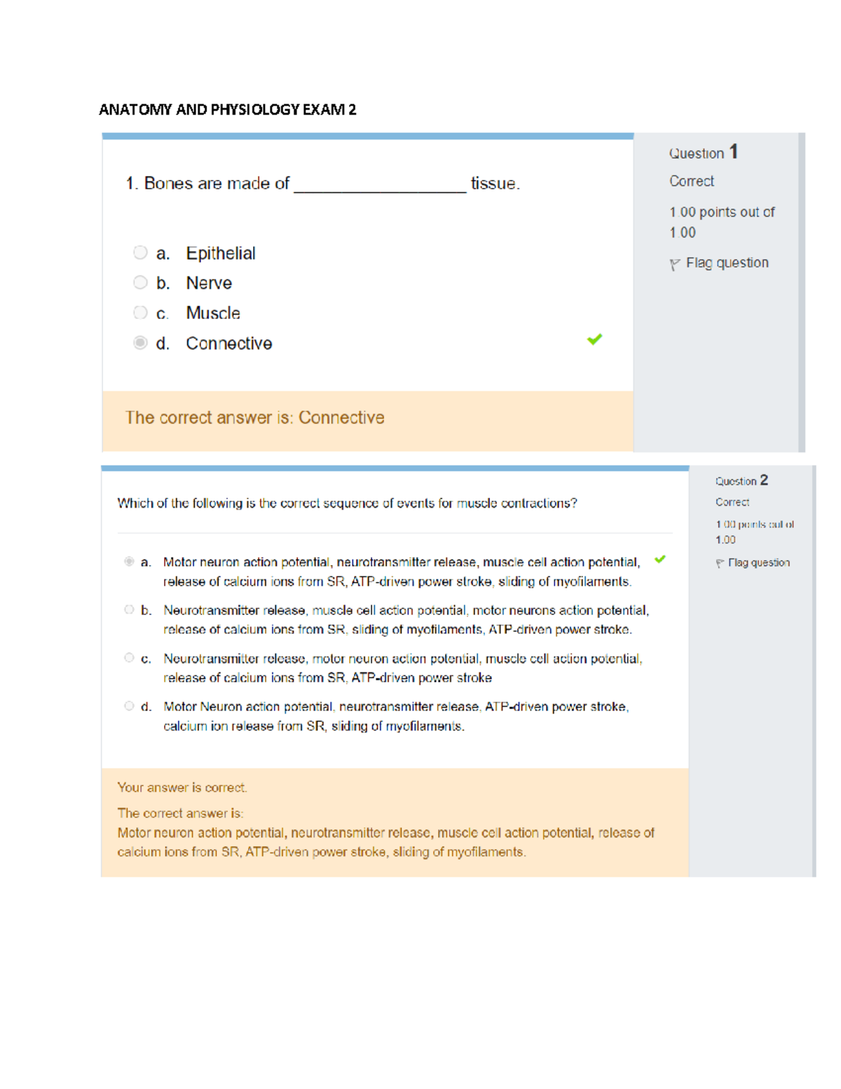 Anatomy visual data 8