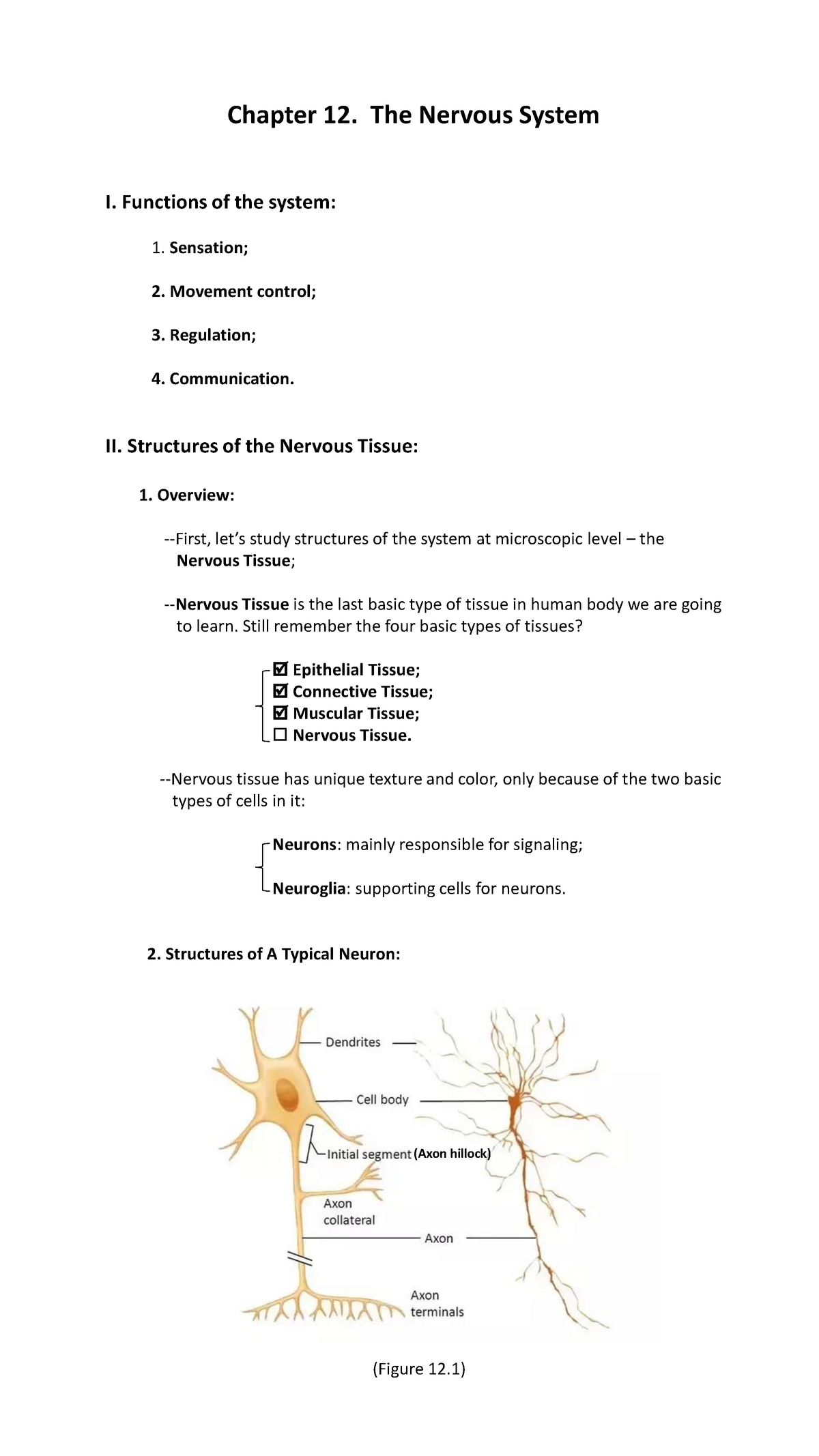 BIO 1100 - Lesson Chapter 12 - Chapter 12. The Nervous System I ...