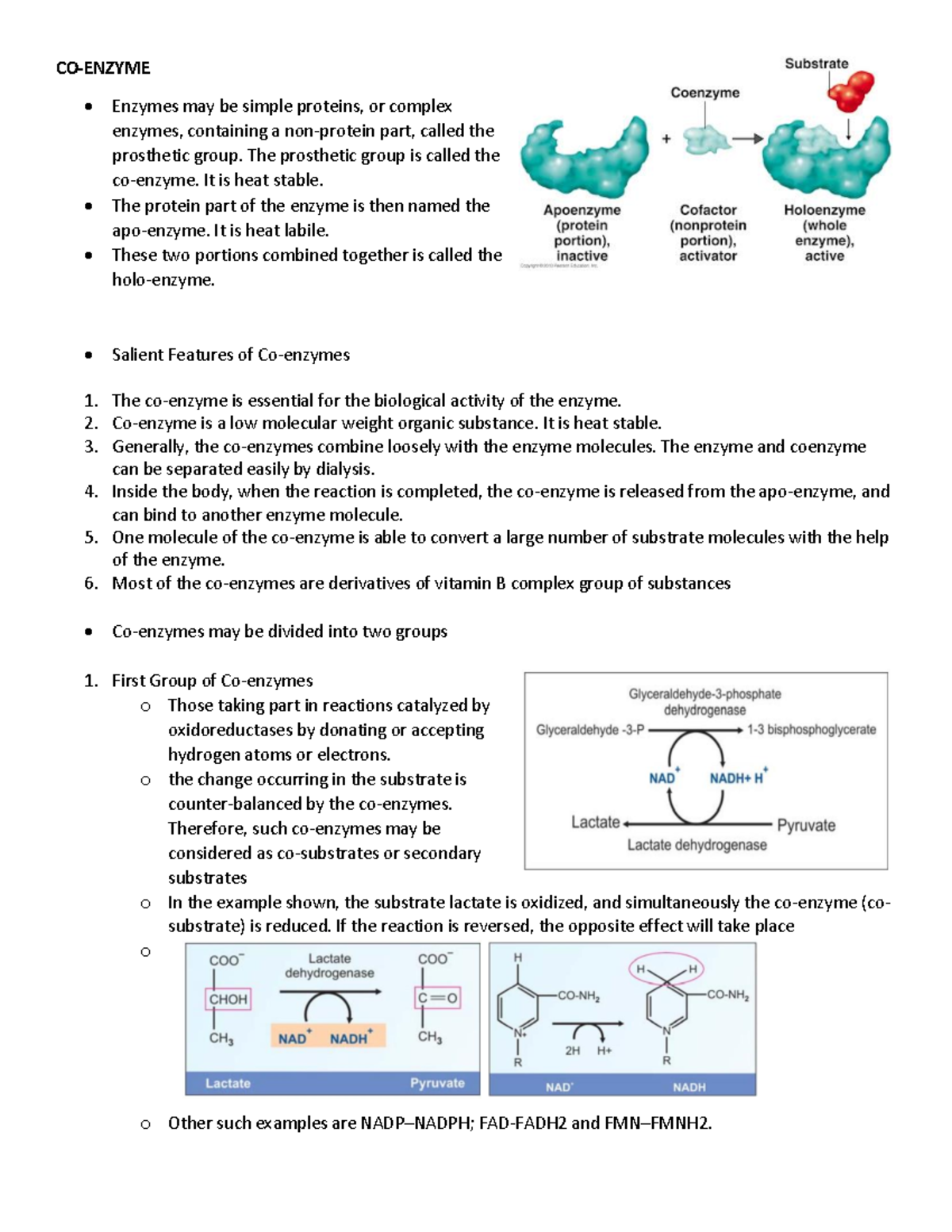Enzymes2 Chemistry quiz COENZYME Enzymes may be simple proteins