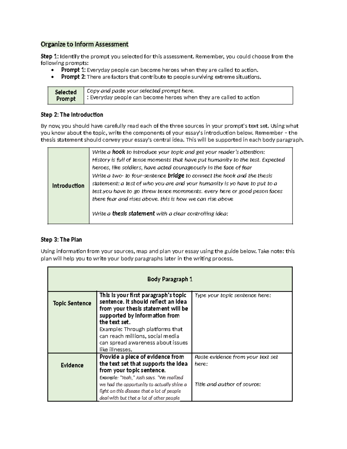 Organize to inform assessment - Organize to Inform Assessment Step 1 ...