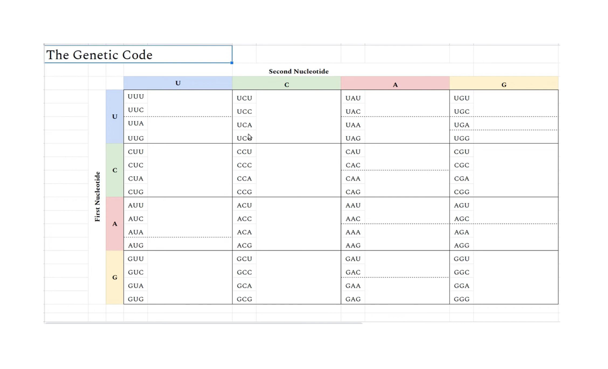 Genetic CODE Cytogenetics - Medical Technology - Studocu