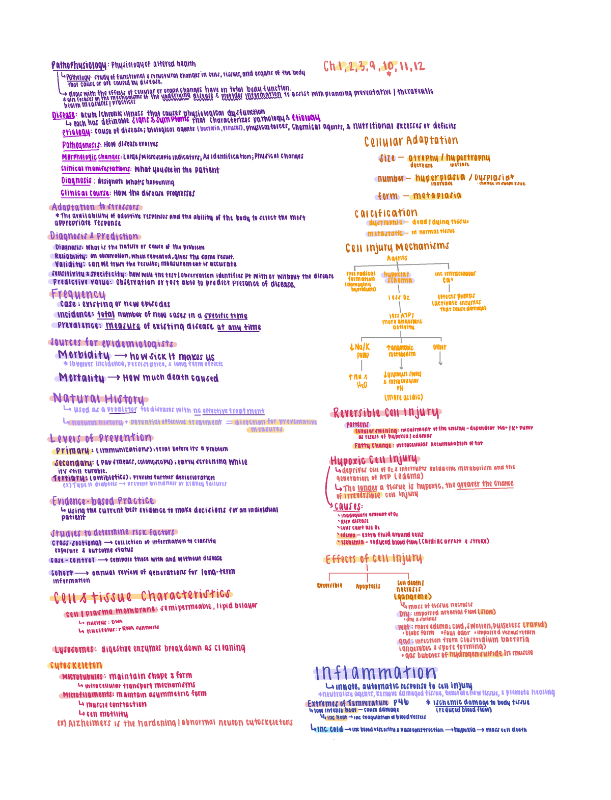 Unit 1 Pathophysiology - ####### thophysiology ...