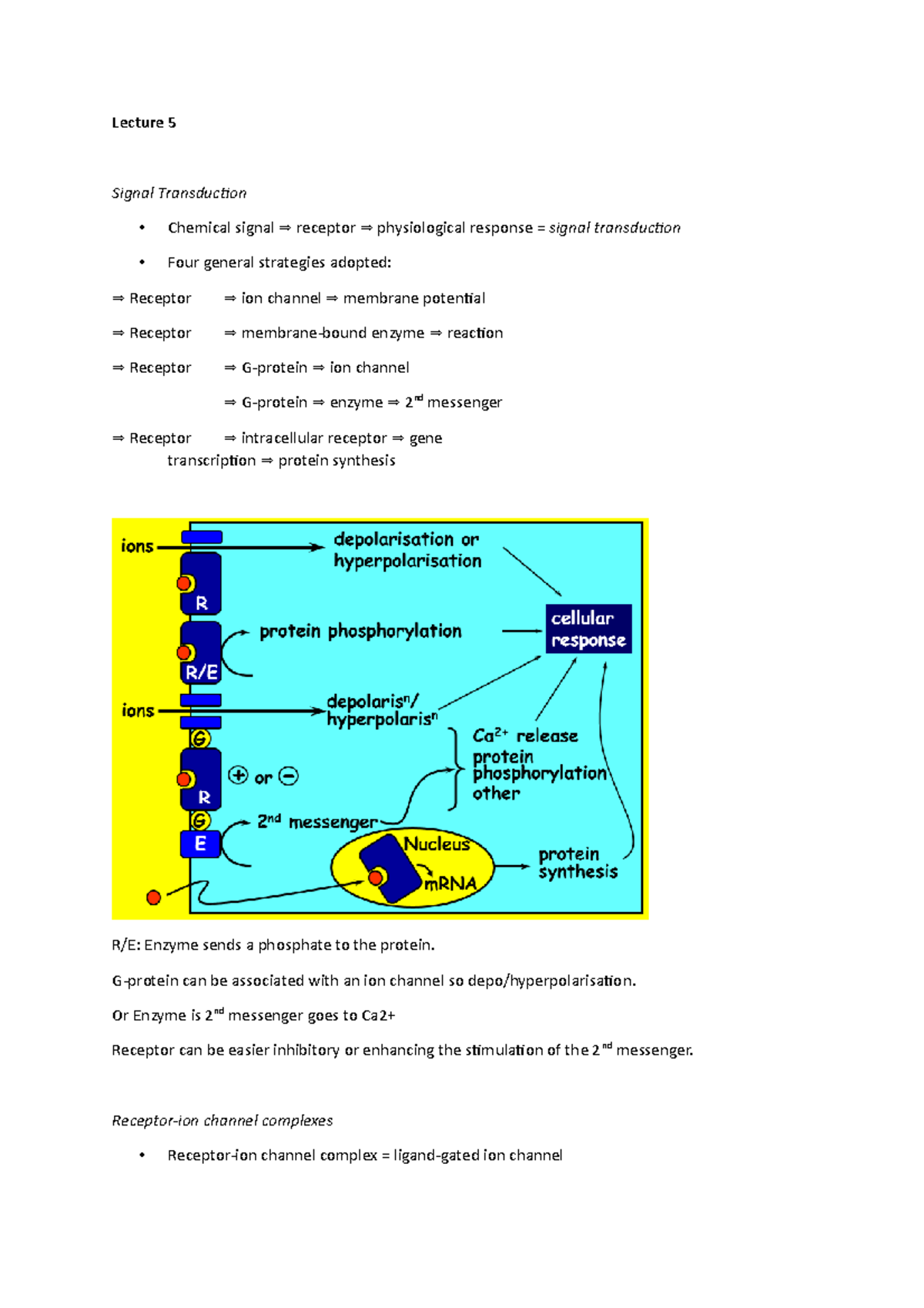 Lecture 5 physiology 5 Lecture 5 Signal Transduction • Chemical
