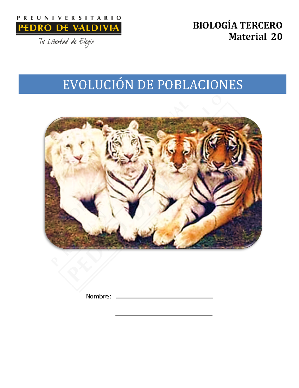 Evolución