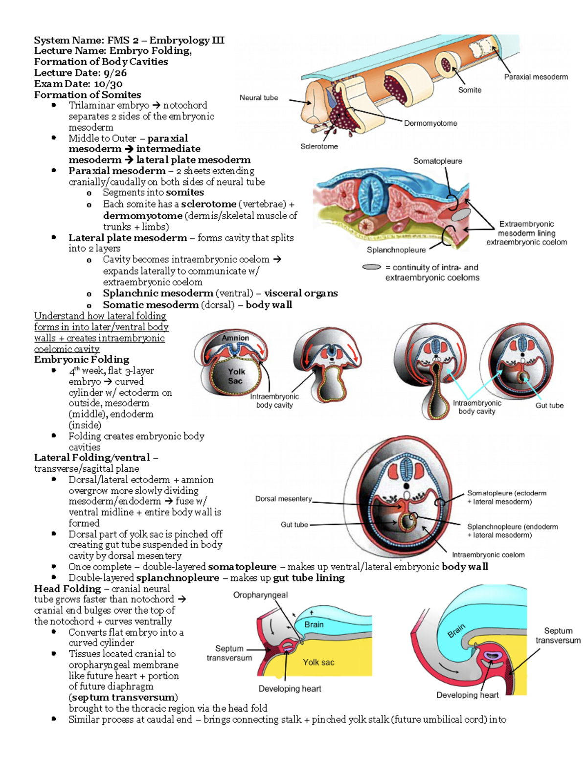 9:26 Embryology III - Medicine 100 - System Name: FMS 2 – Embryology ...