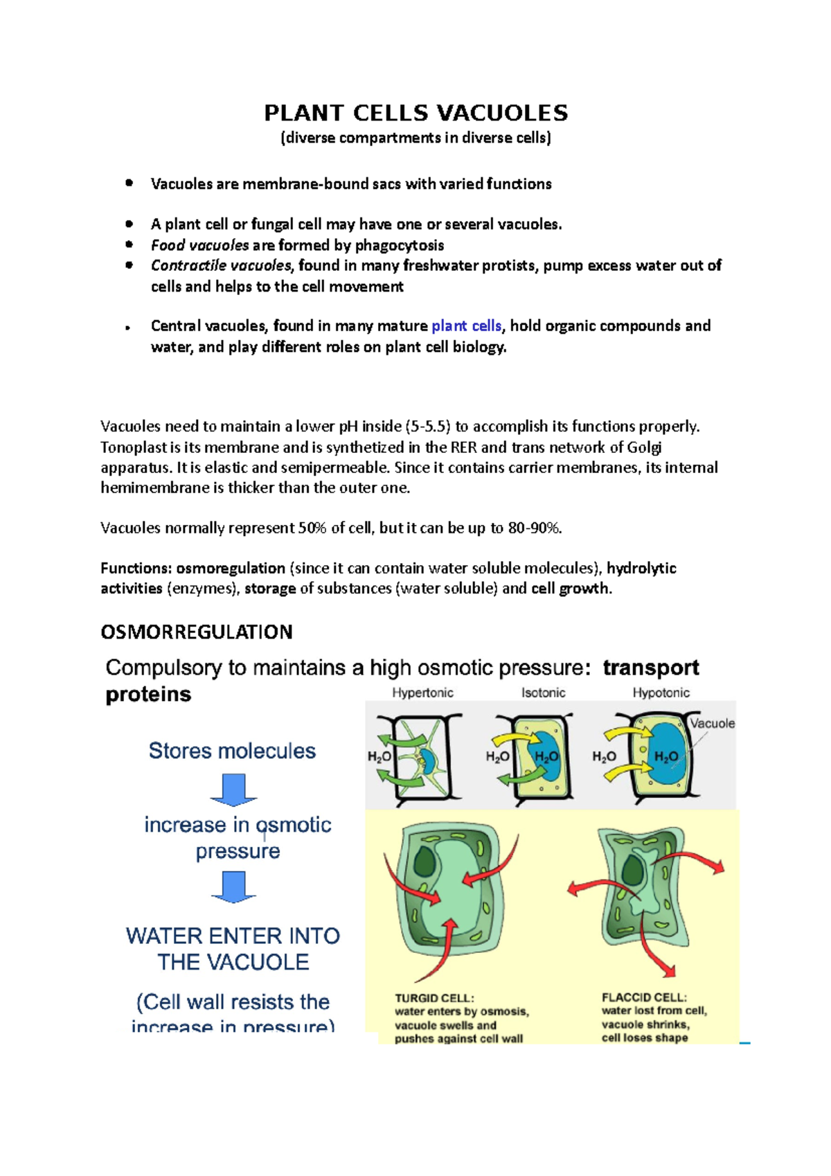 Plant Cells Vacuoles - PLANT CELLS VACUOLES (diverse compartments in ...