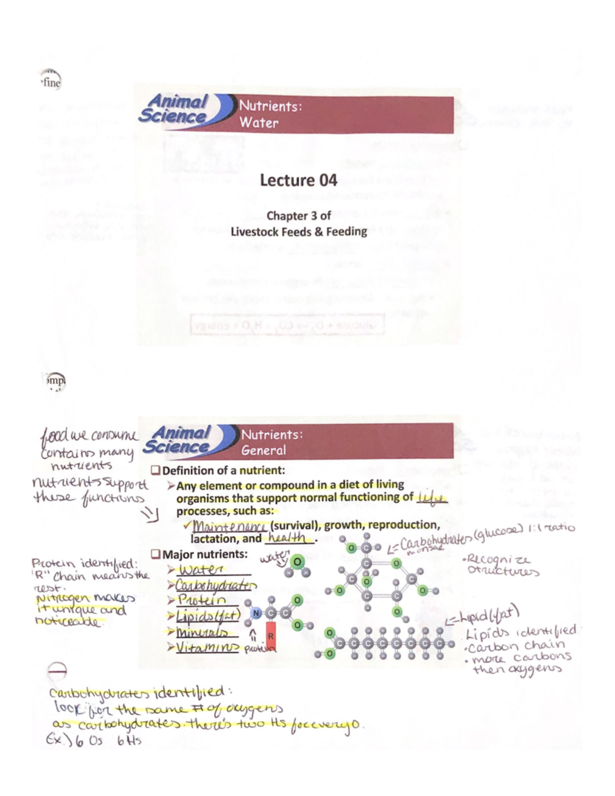 Animal visual data 7