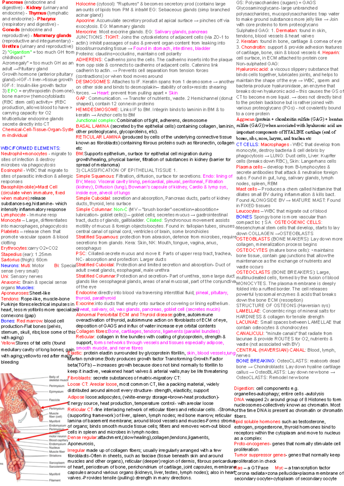 BIO Cheat Sheet - Summary Biology for Biomedical Science: Cellular ...