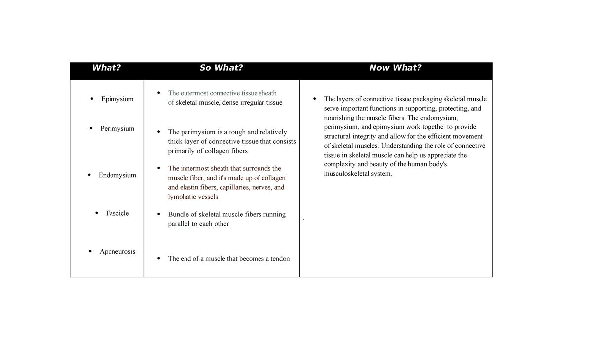 Three column notes - What? So What? Now What? Epimysium Perimysium ...