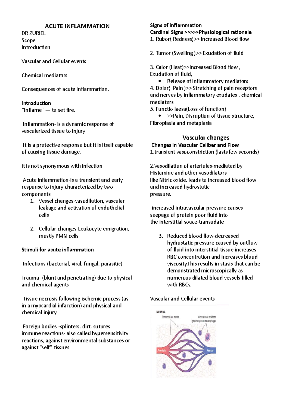 Acute Inflammation - lecture slides - Medicine and surgery - UoN - Studocu