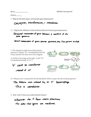 GEN 604 Exam 2 - Lecture notes Exam 2 - Exam 2 - Study Guide Chapter 4 ...