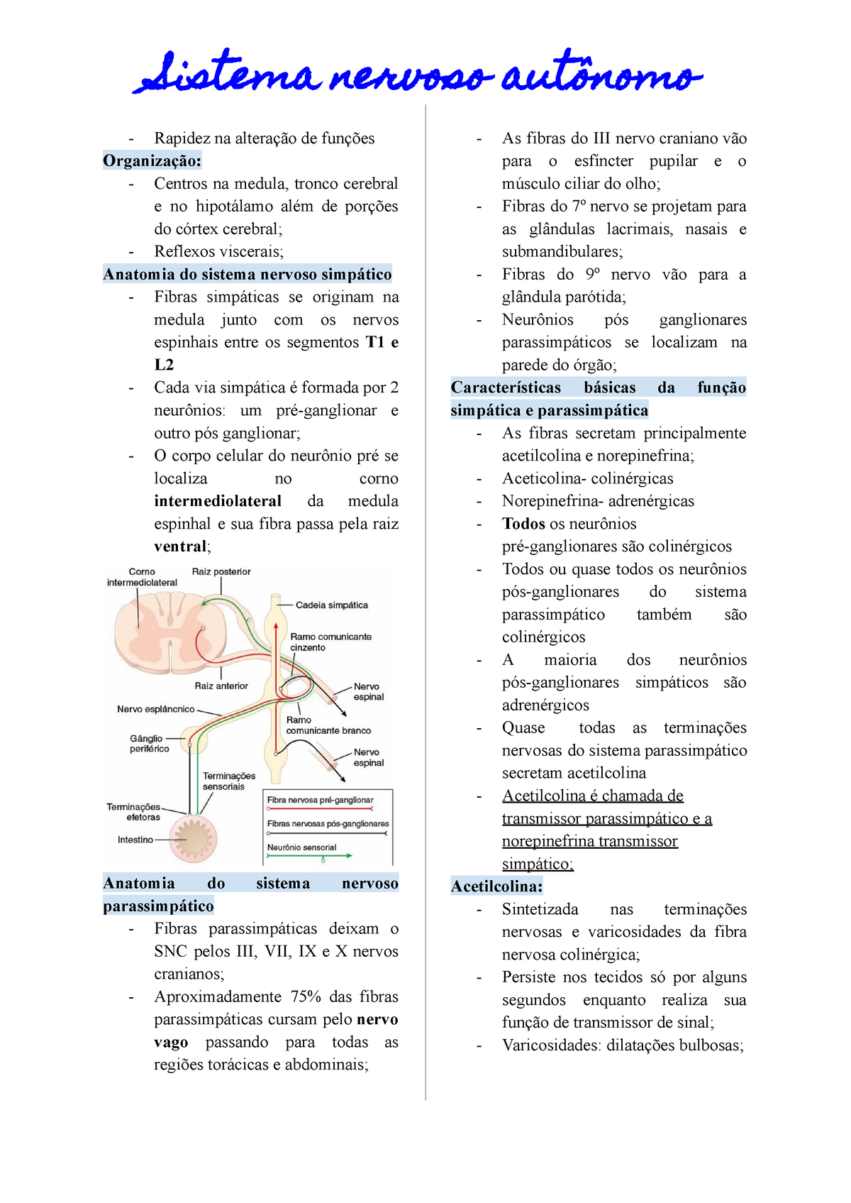 Documento Sem Título Resumo Sobre Sistema Nervoso Autônomo Com Base