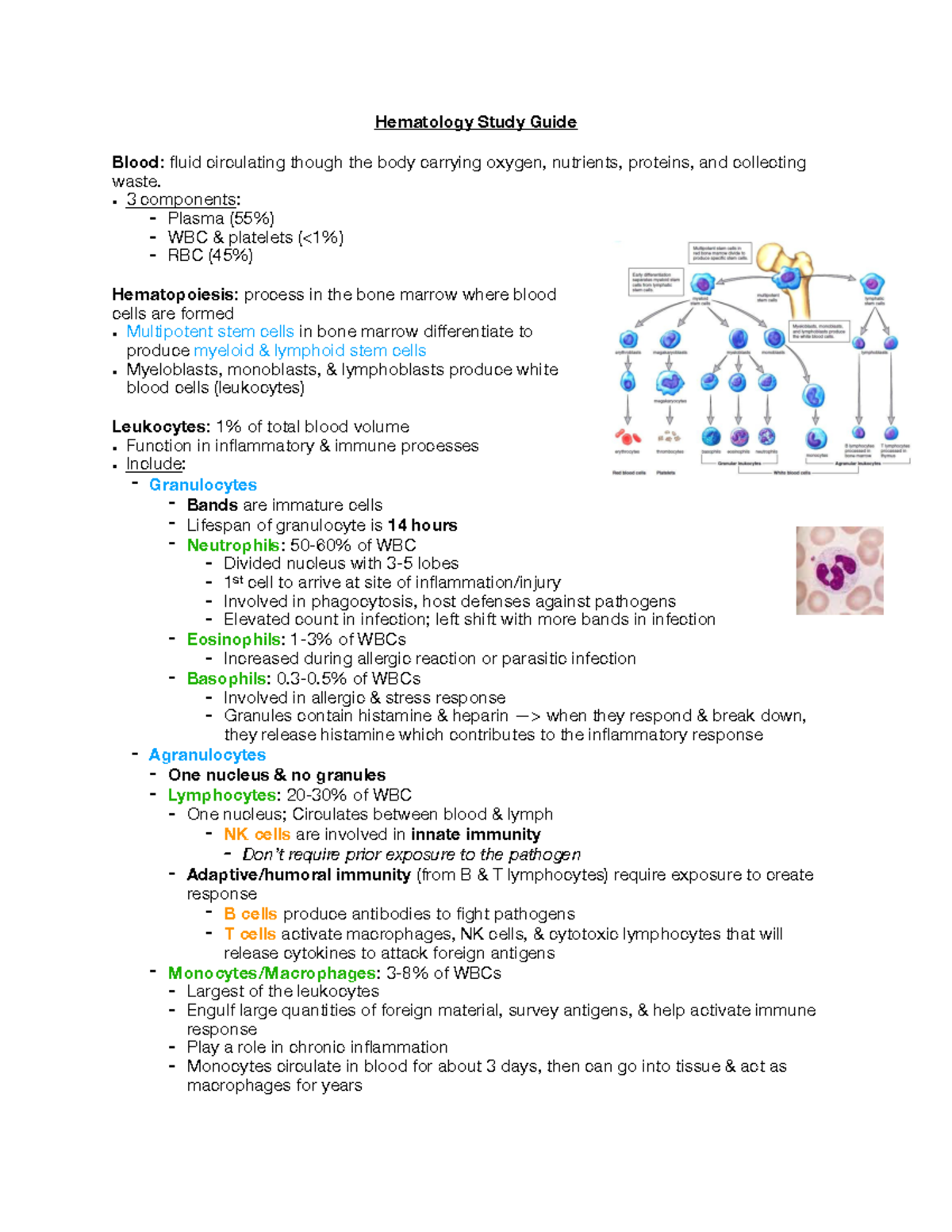 Hematology Review Hematology Study Guide Blood fluid circulating