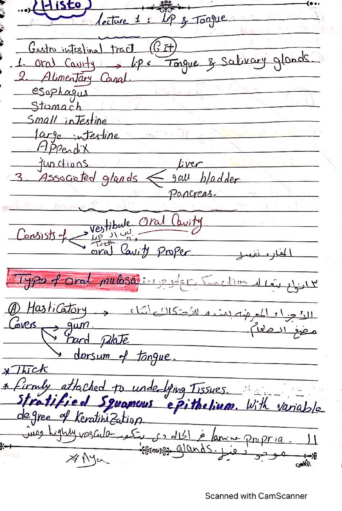 ملخص المحاضرة الأولى هيستو - Histo Long lecture 1 : lip Tongue Gastro ...