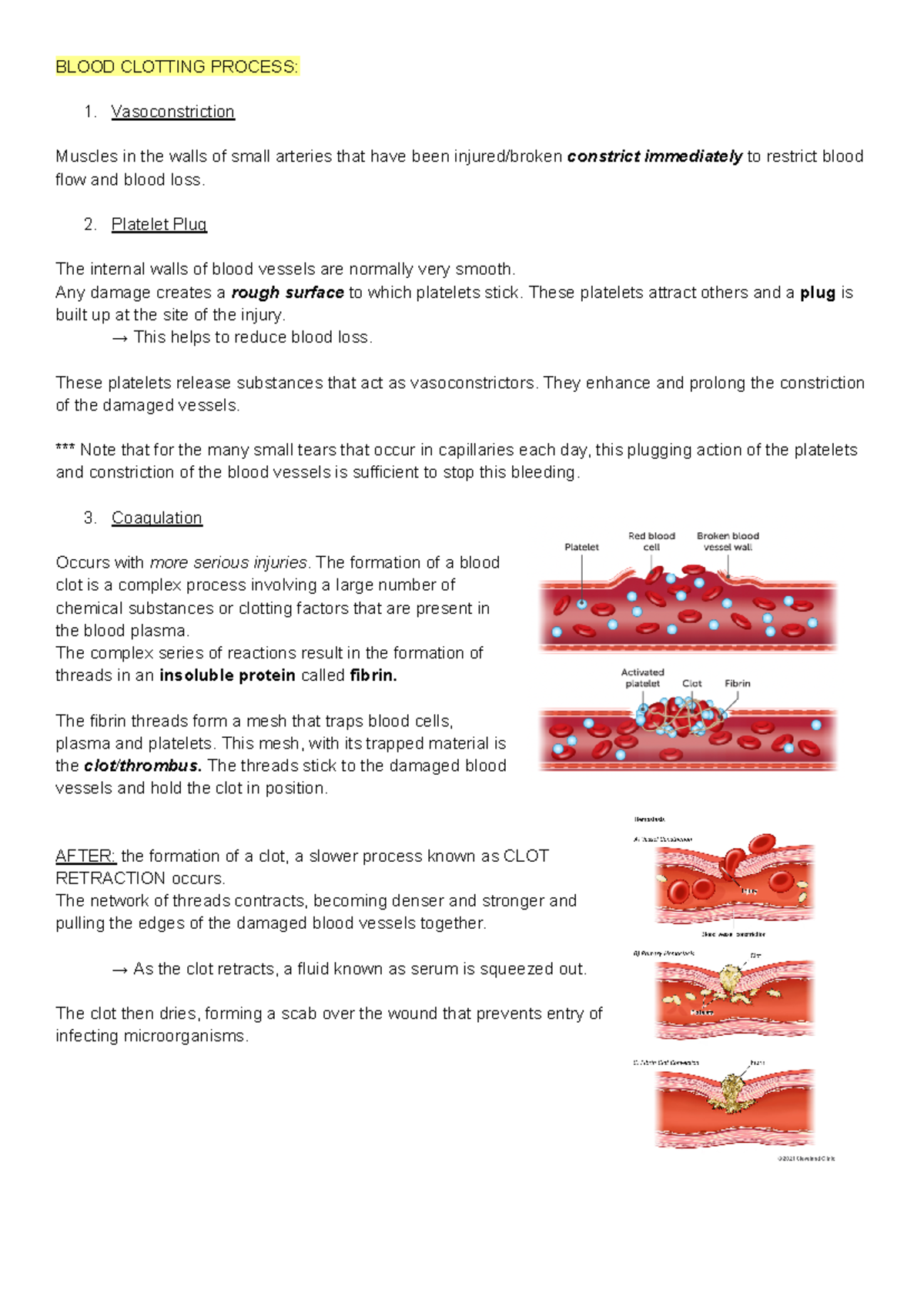 Blood Clotting process - BLOOD CLOTTING PROCESS: Vasoconstriction ...