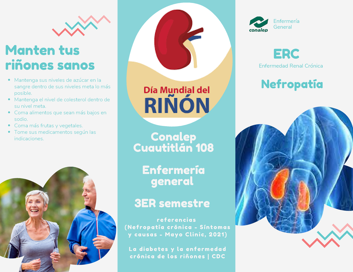 Nefropatia - Patología Completa De La Nefropatía - Enfermedad Renal ...