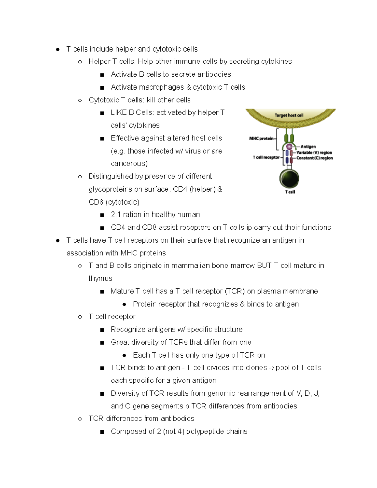 T cell receptors - e T cells include helper and cytotoxic cells o ...