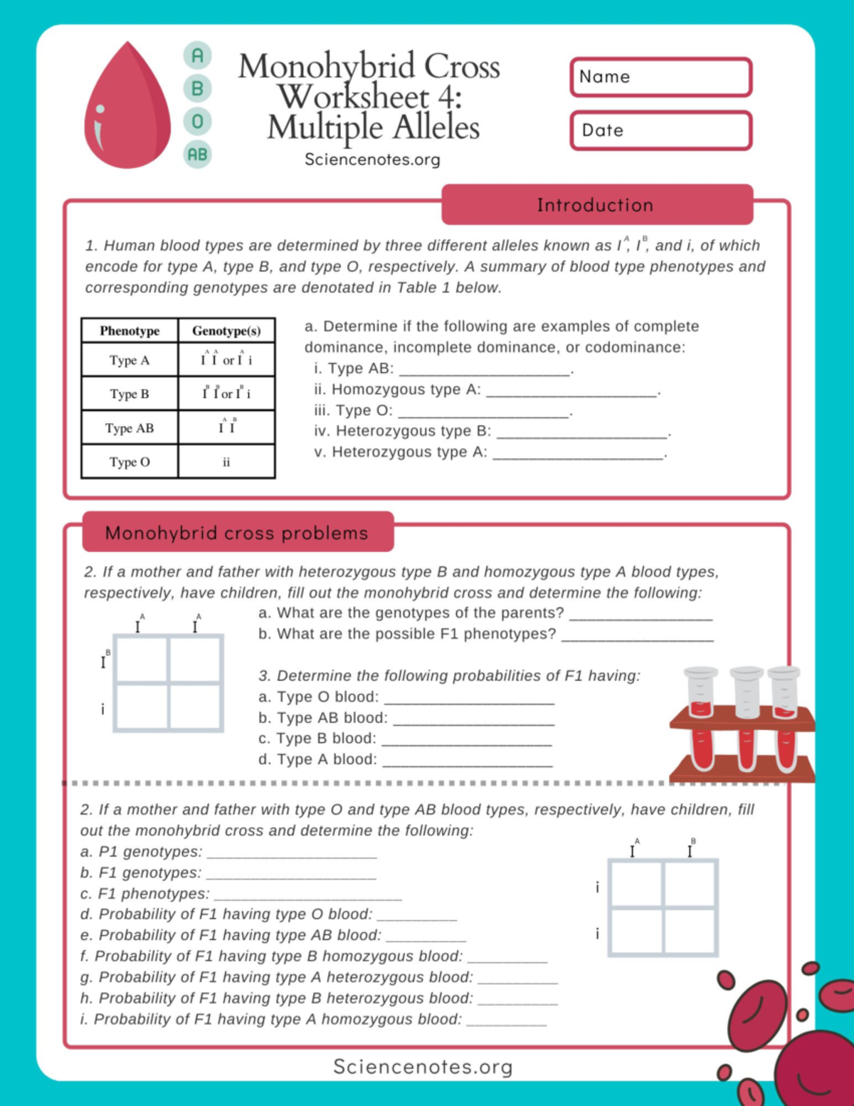 Monohybrid Cross 4 Multiple Alleles - Science, Technology, Engineering ...