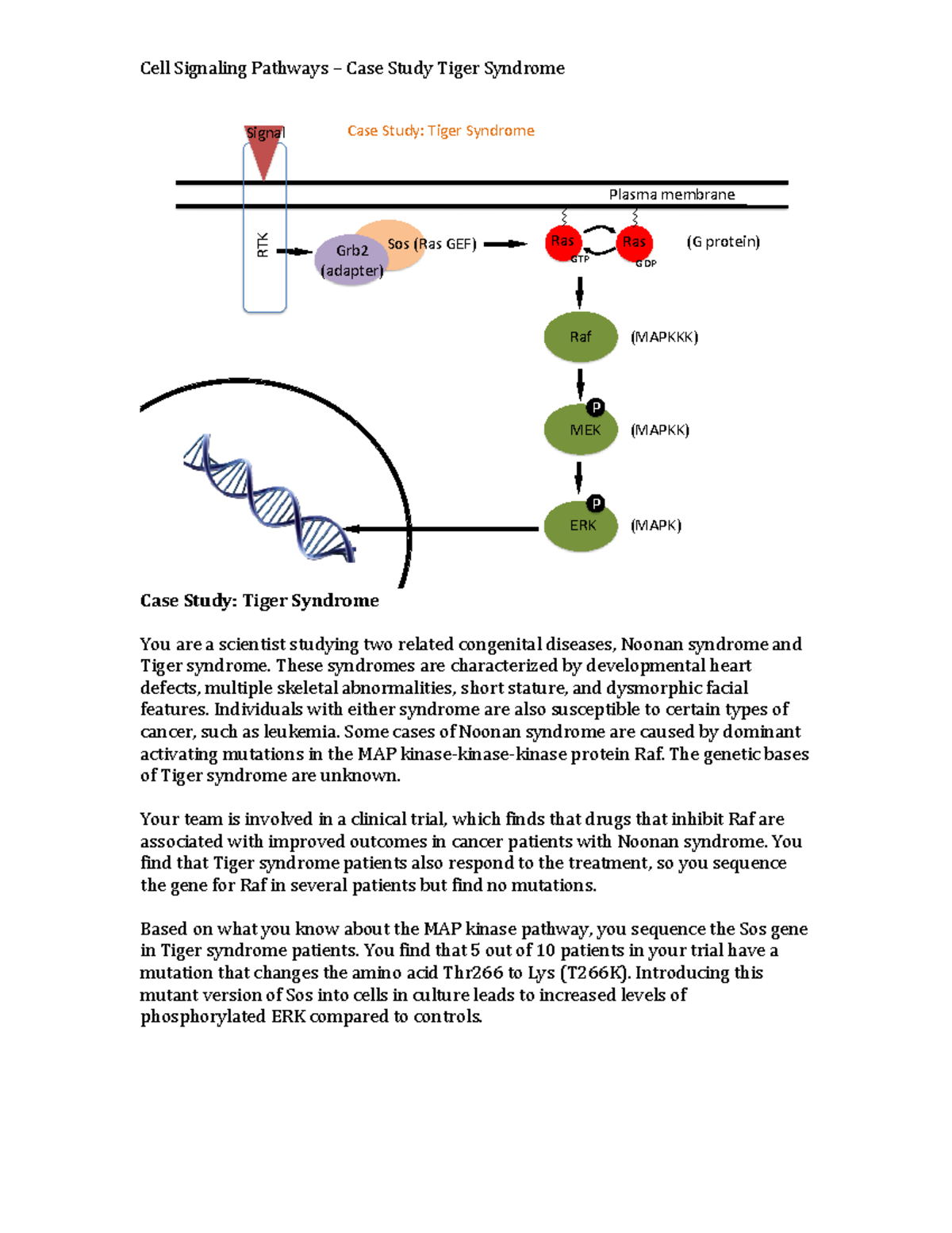 Cell Signaling-Tiger Case Study copy - Cell Signaling Pathways – Case ...