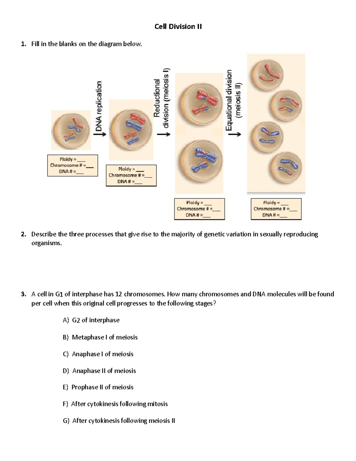 3. Cell Division handout Fall 2022 - Cell Division II Fill in the ...