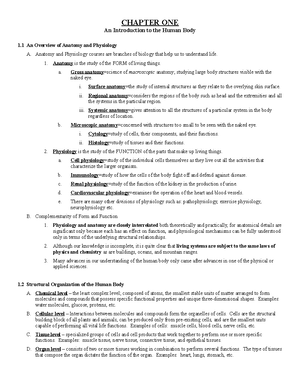 Exercise 13 Gross Anatomy Of The Muscular System - BIO 130 - Studocu