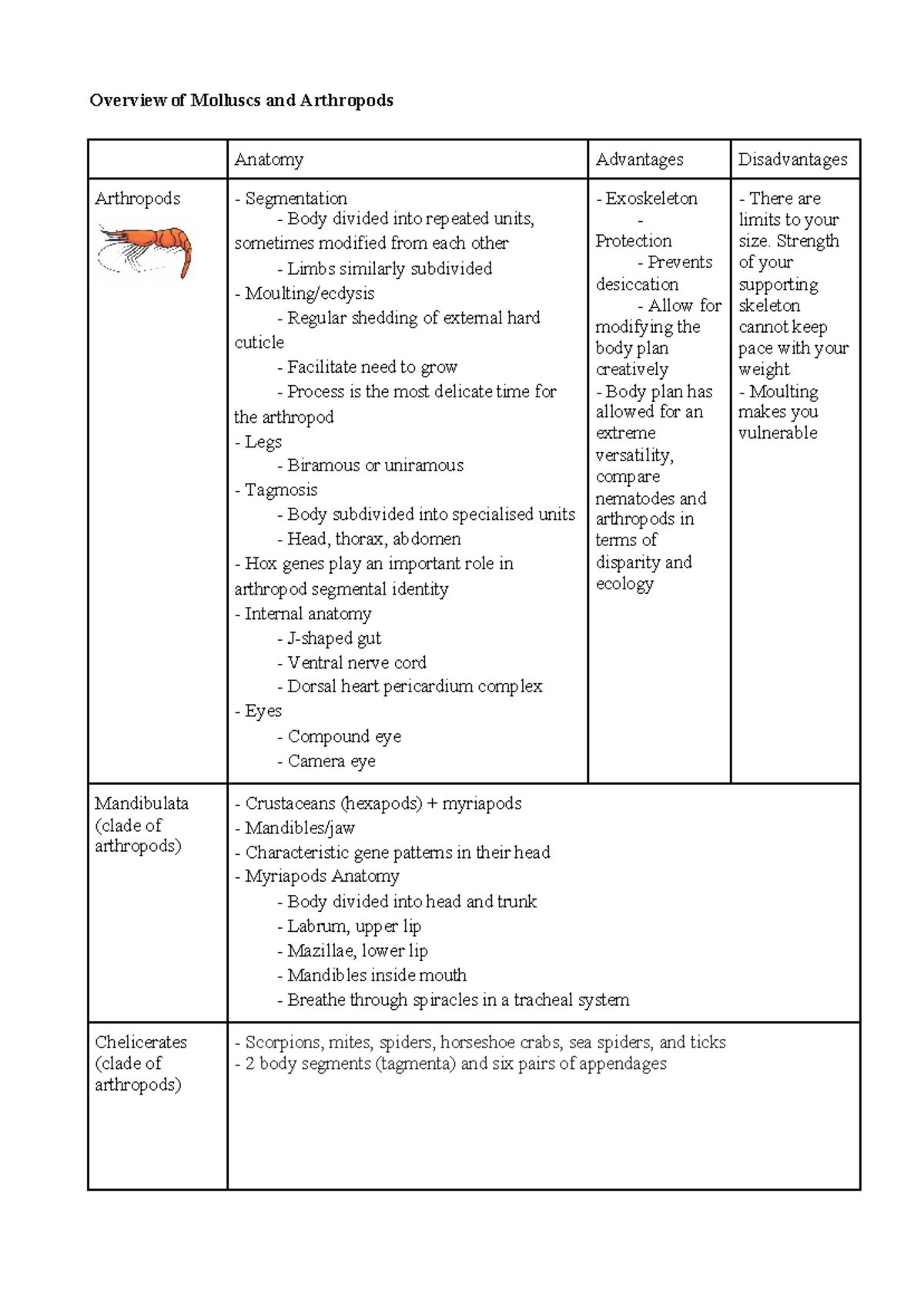 Overview of Molluscs and Arthropods - Overview of Molluscs and ...