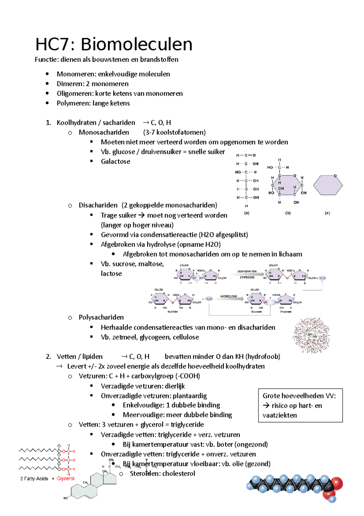 Biomoleculen - HC7: Biomoleculen Functie: dienen als bouwstenen en ...