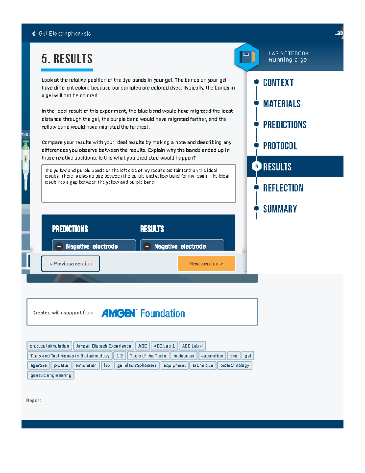 Gel Electrophoresis Lab Xchange Library catalog > Simulation > Gel