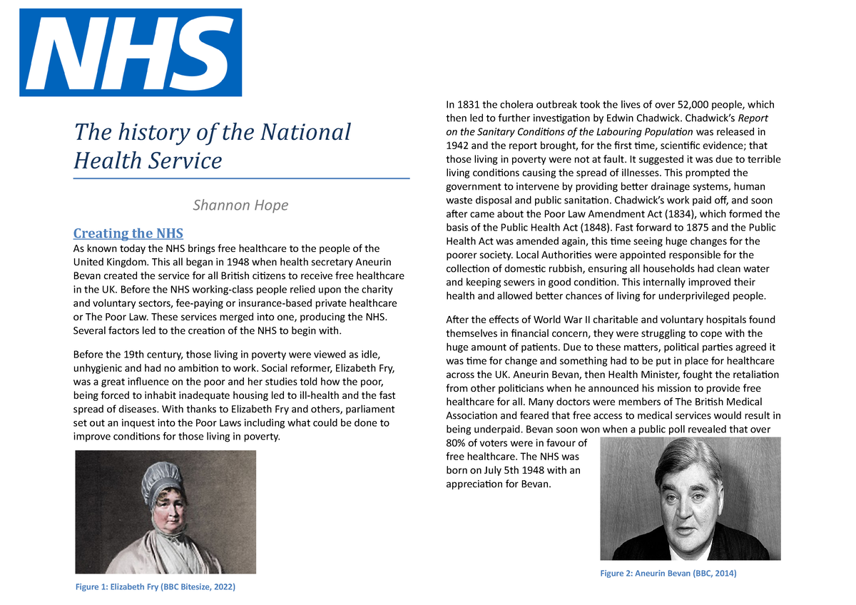 history of the nhs essay