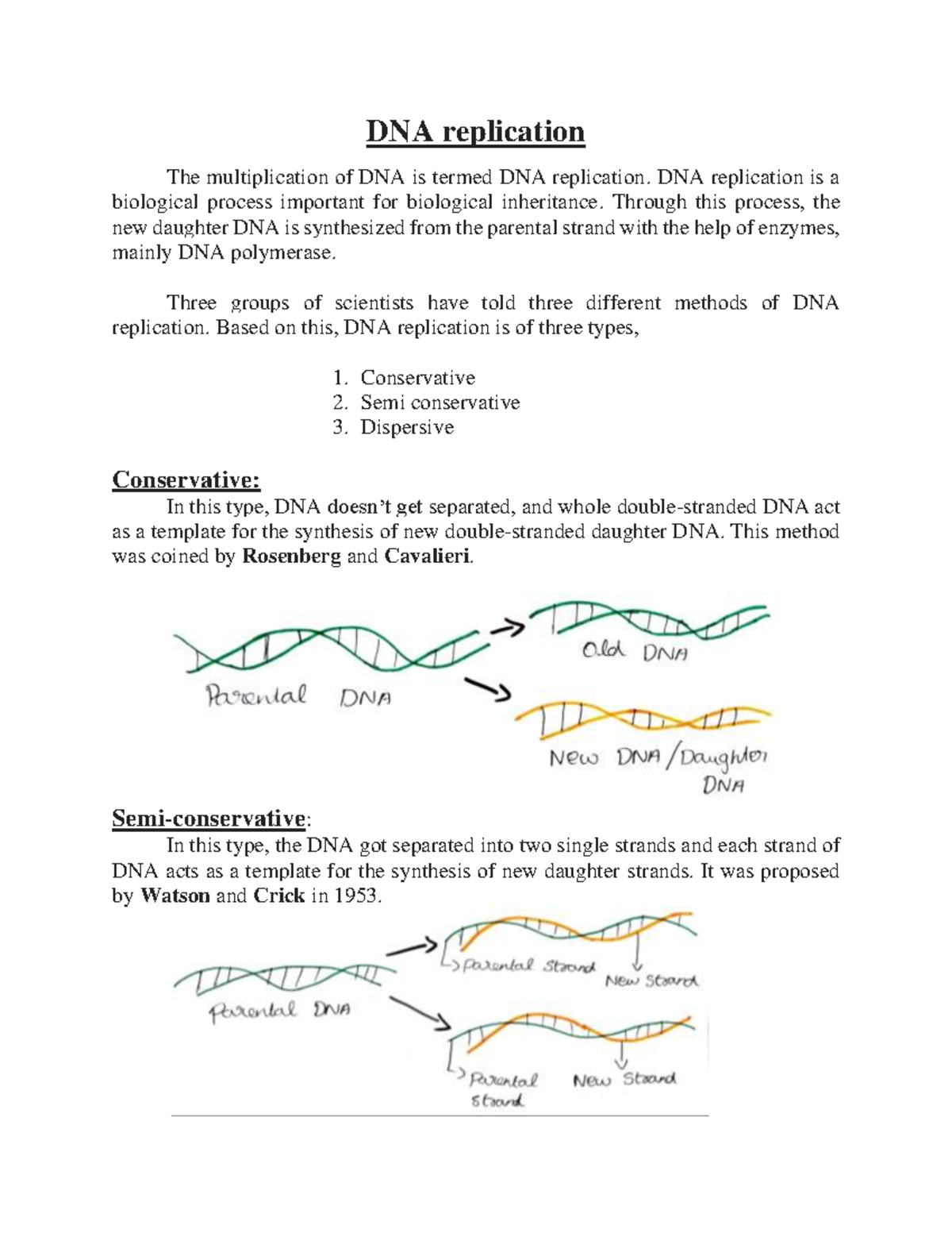 DNA replication and Enzymes DNA replication The multiplication of DNA