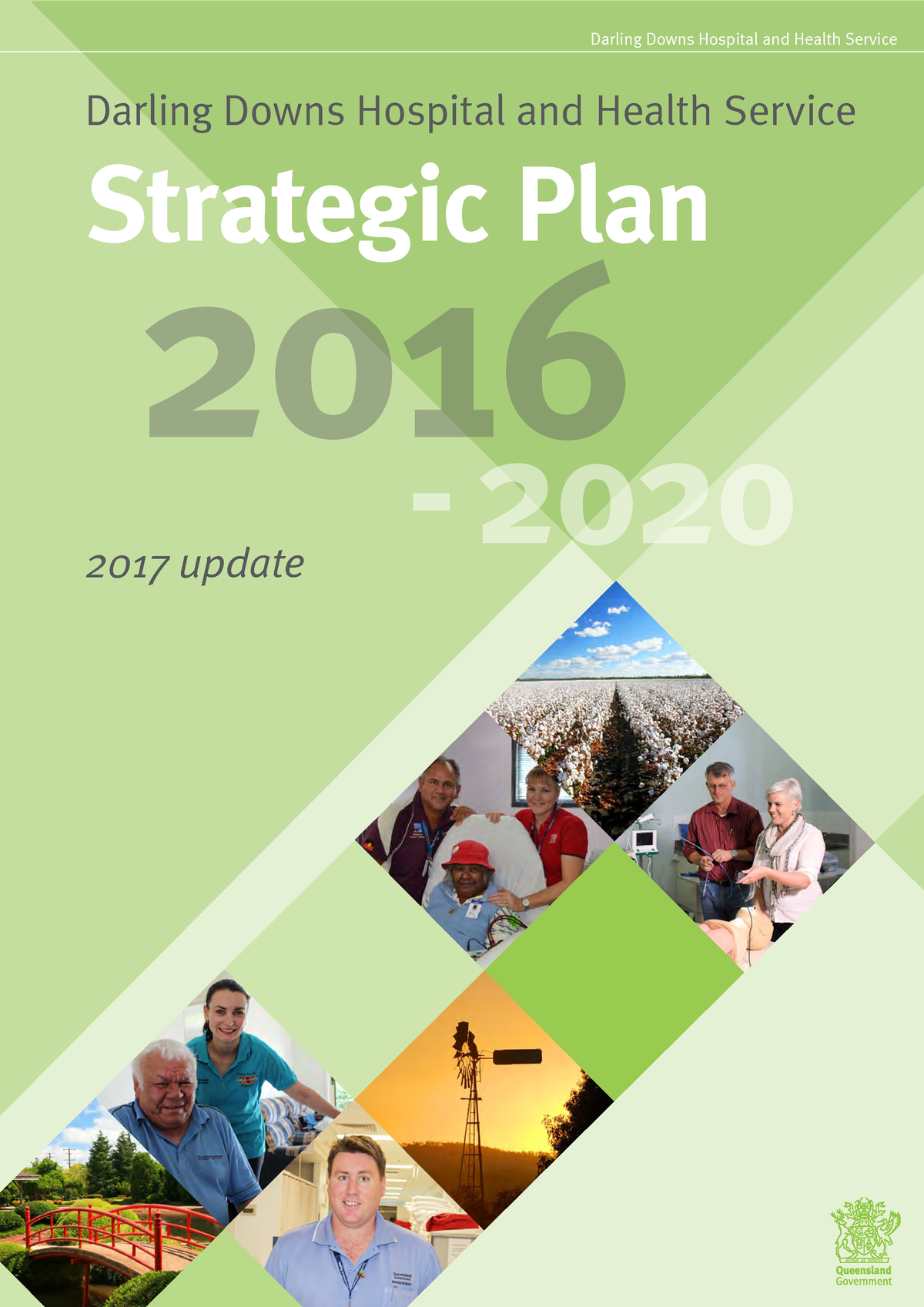 Hospital and Health Service Strategic Plan Example - 2017 update ...