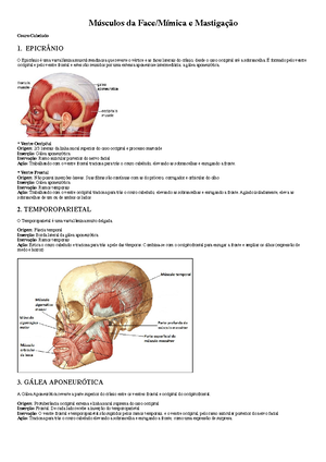 Resumo Apostila Anatomia Sistema Esqueletico Atlas B Sico De Anatomia Sistema Esquel Tico