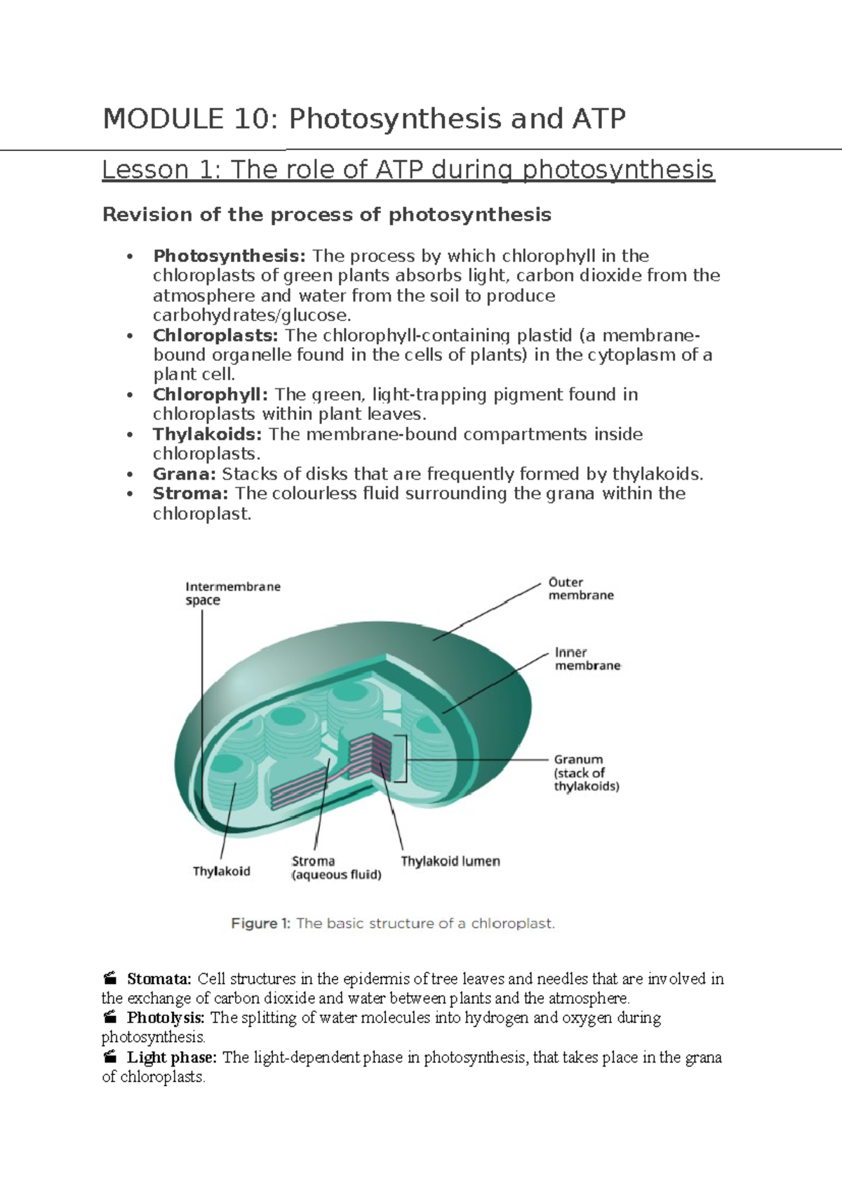 Module 10- Photosynthesis and ATP - MODULE 10: Photosynthesis and ATP ...