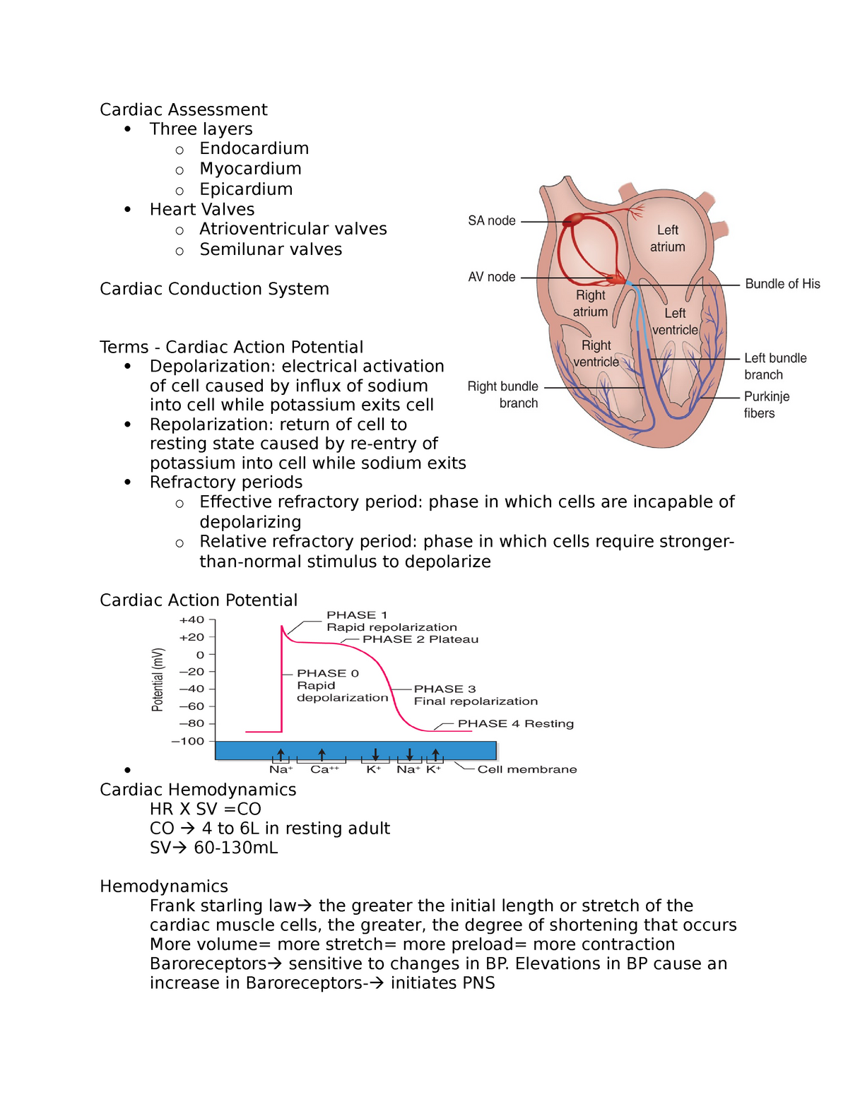cardiac health care assignment