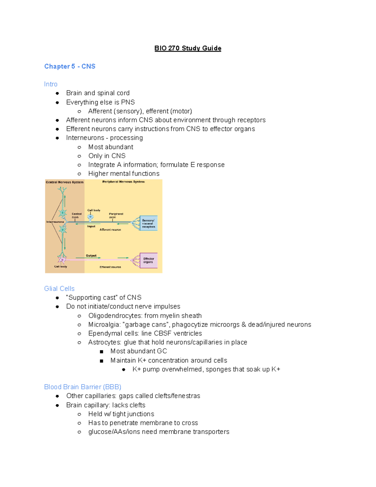 BIO 270 Ch 59 Study Guide BIO 270 Study Guide Chapter 5 CNS Intro