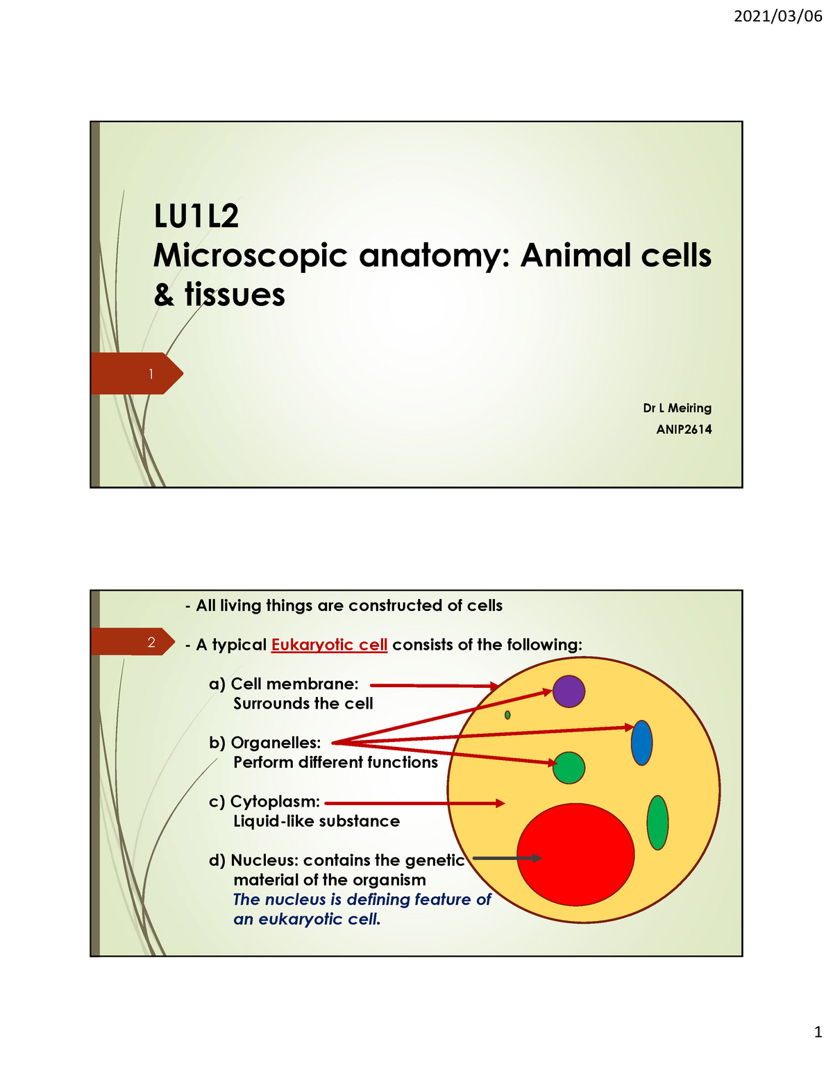 LU1L2 Microscopic Anatomy Animal Tissues - LU1L Microscopic Anatomy ...