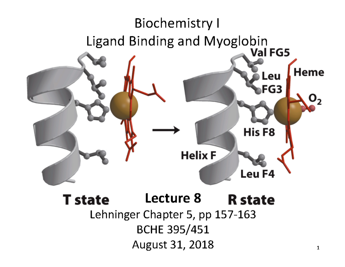 Ligand Binding and Myoglobin - Biochemistry I Ligand Binding and ...