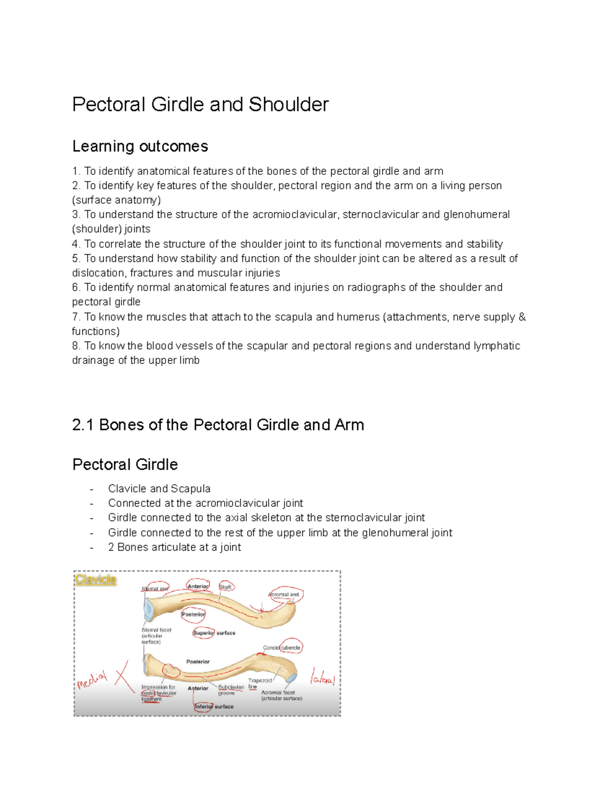 ANAT1451 Notes - Summary Functional Anatomy - Pectoral Girdle and ...