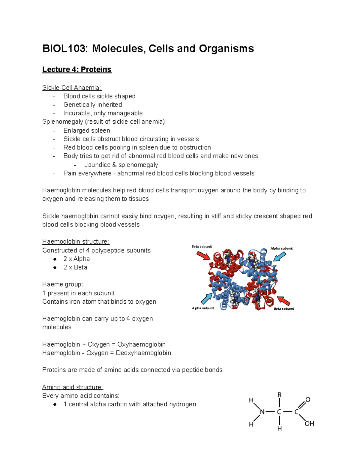 BIOL103 Molecules, Cells And Organisms Lectures 4-5 - BIOL103 ...